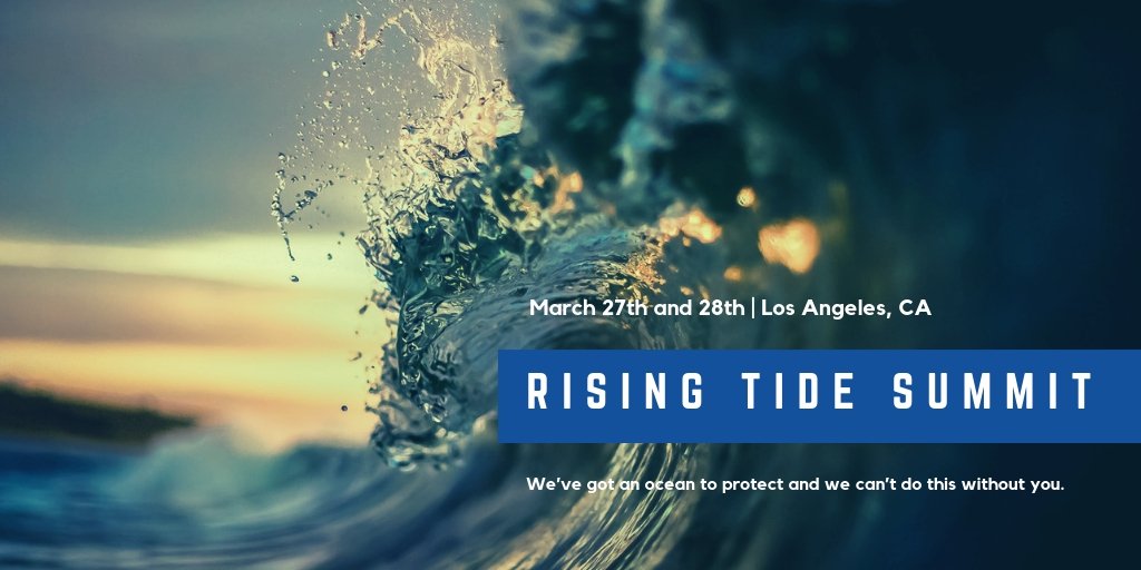 Rising Tide Solutions